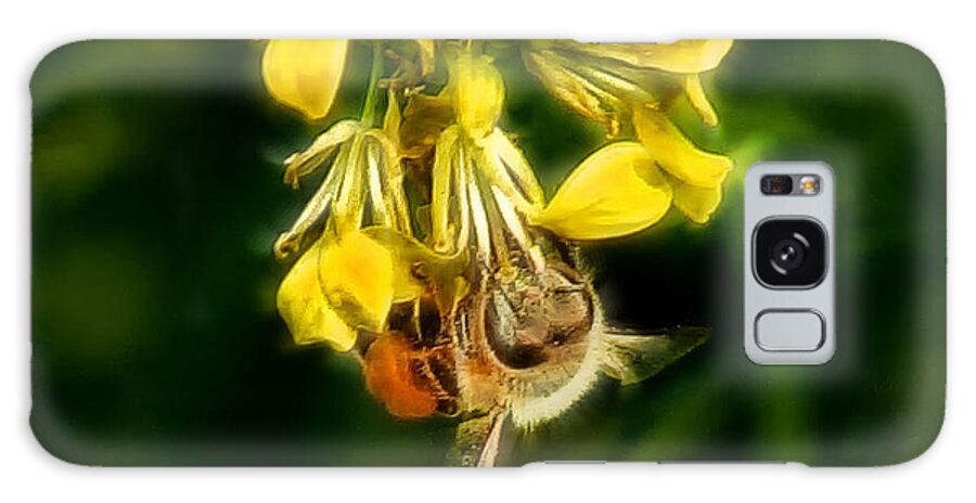 Bee Galaxy S8 Case featuring the photograph Busy Bee #1 by Lucy VanSwearingen