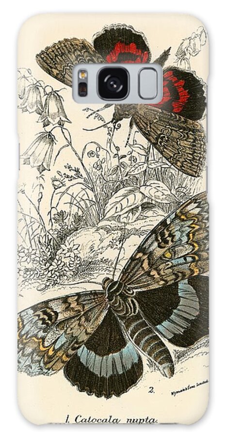 Insect Galaxy Case featuring the painting Butterflies by English School