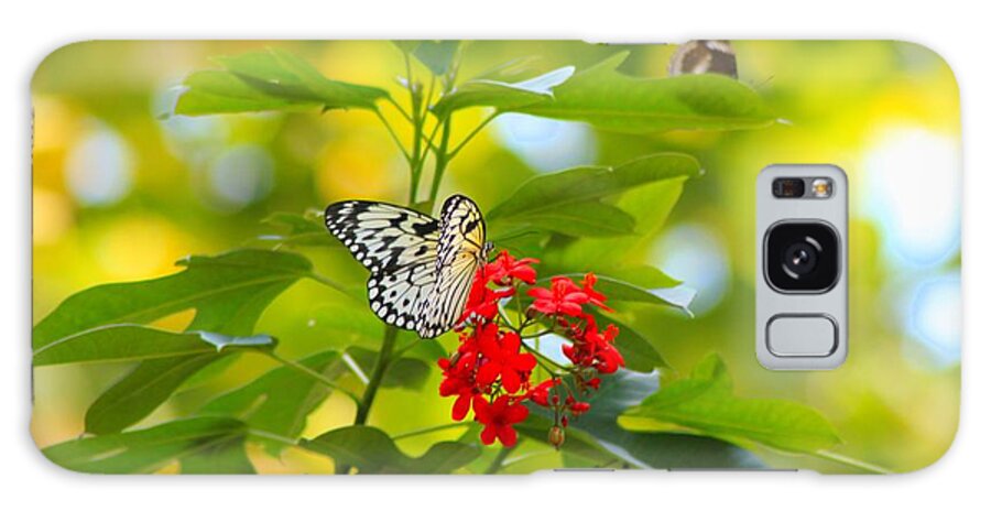 Butterfly Galaxy Case featuring the photograph Butterfly Beauty #1 by Karen Wagner