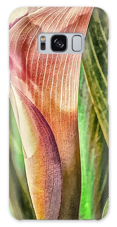 Canna Galaxy Case featuring the photograph Canna Lily #1 by Barry Weiss
