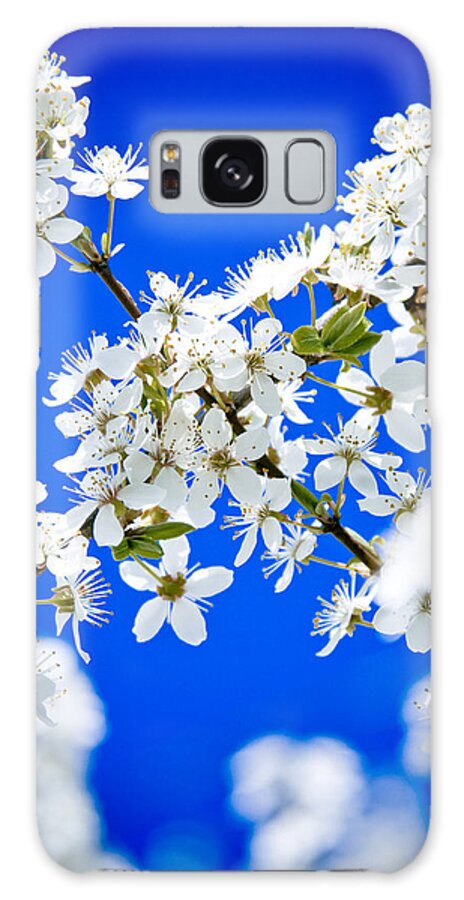 Flowers Galaxy Case featuring the photograph Cherry blossom with blue sky #1 by Raimond Klavins