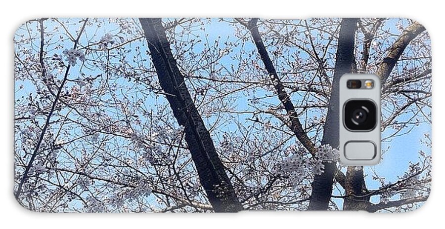 Landscape Galaxy Case featuring the photograph Cherryblossoms #landscape #1 by Tokyo Sanpopo