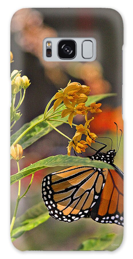 Butterfly Galaxy Case featuring the photograph Clinging Butterfly #1 by Matalyn Gardner