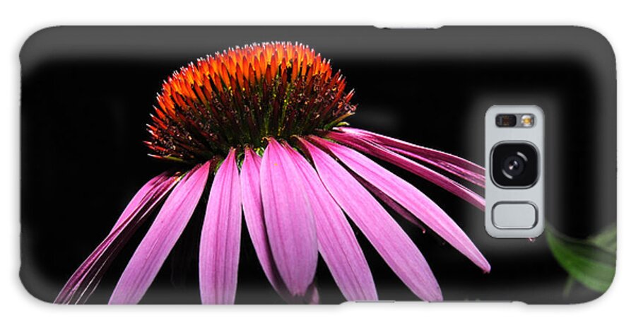 Cone Galaxy S8 Case featuring the photograph Cone Flower #1 by David Armstrong