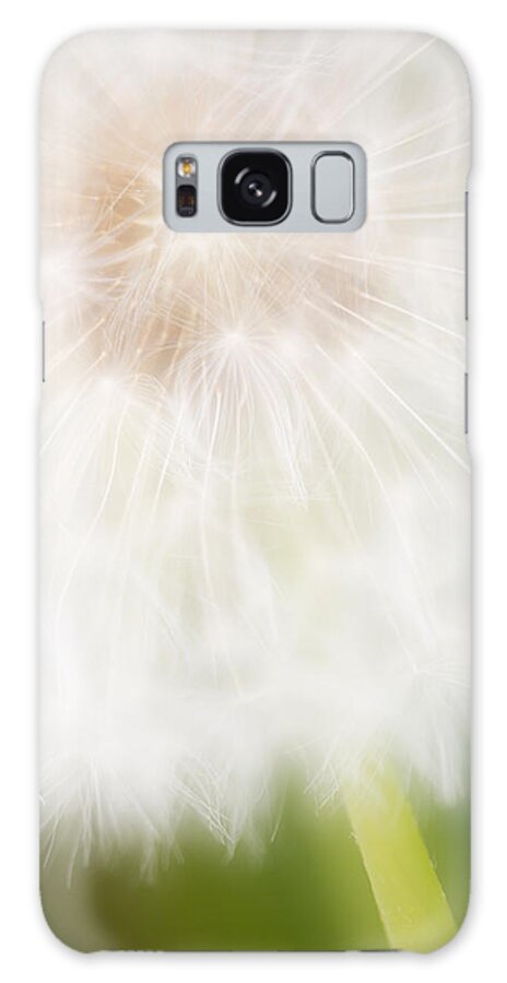 Nis Galaxy Case featuring the photograph Dandelion Seedhead Noord-holland #1 by Mart Smit