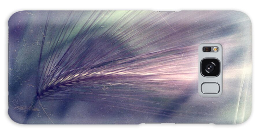 Foxtail Barley Galaxy Case featuring the photograph darkly series II #1 by Priska Wettstein