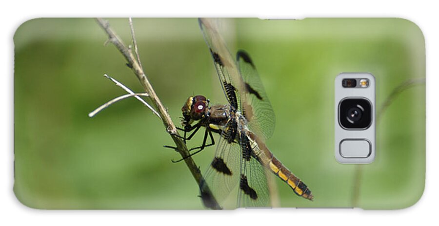 Dragon Fly Galaxy Case featuring the photograph Dragon by David Armstrong
