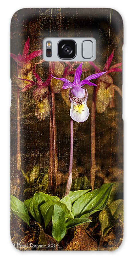 Wildflowers Galaxy Case featuring the photograph Fairy Slippers by Fred Denner