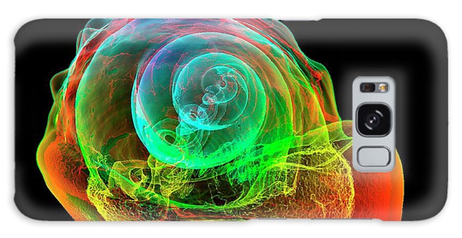 X-ray Galaxy S8 Case featuring the photograph Flame Helmet Seashell #1 by K H Fung
