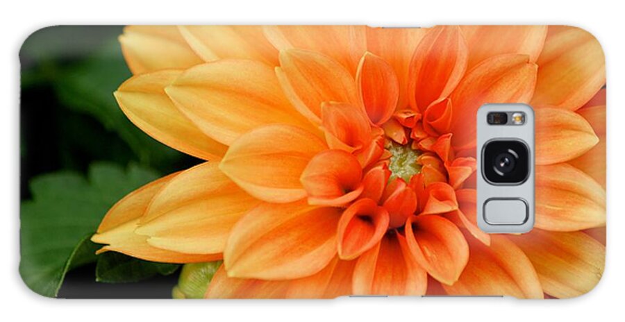 Orange Flower Galaxy Case featuring the photograph Flower #1 by Deena Withycombe
