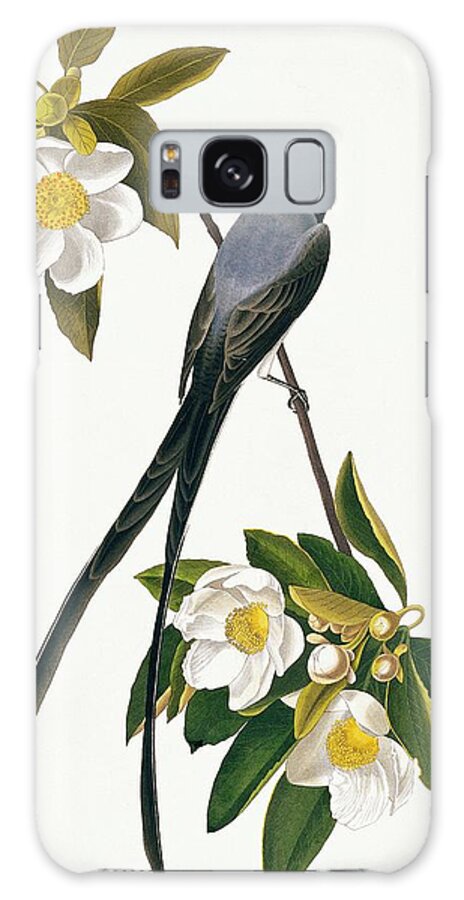 Illustration Galaxy Case featuring the photograph Fork-tailed Flycatcher #1 by Natural History Museum, London/science Photo Library