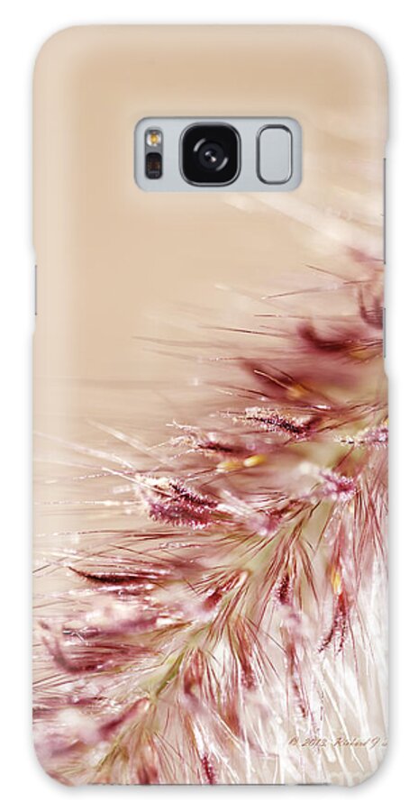 Close-up Galaxy Case featuring the photograph Fountain Grass Blooms  by Richard J Thompson 