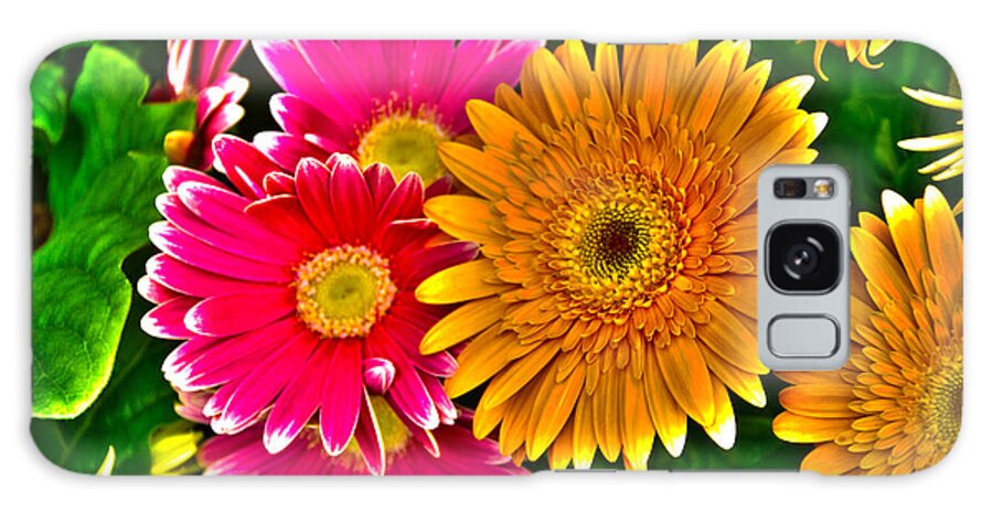 Flower Galaxy Case featuring the photograph Gerbera Daisy #1 by William Norton