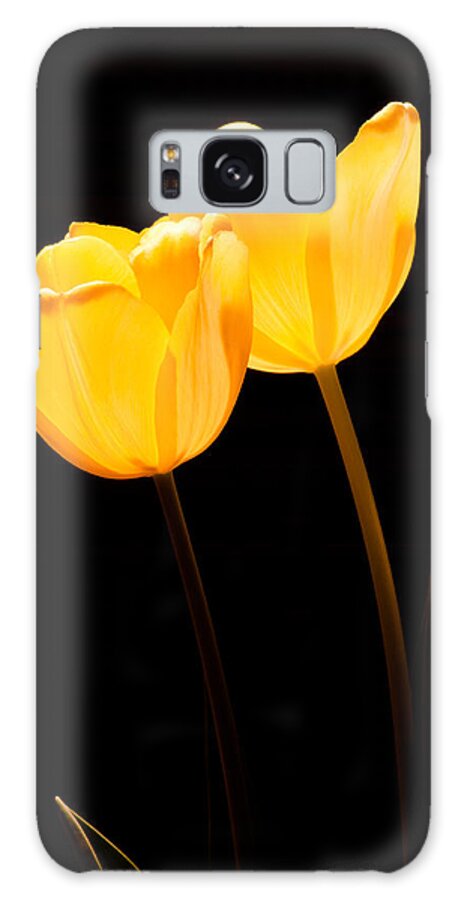 Blossom Galaxy S8 Case featuring the photograph Glowing Tulips II #1 by Ed Gleichman