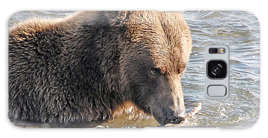Grizzly Galaxy Case featuring the photograph Go Ahead Make My Day by Dyle  Warren