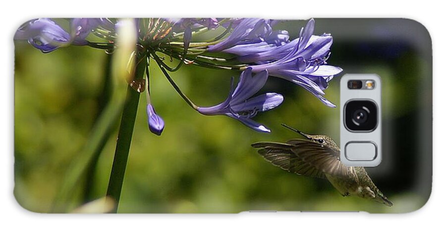 Hummingbird Galaxy S8 Case featuring the photograph Go For It #1 by David Armentrout