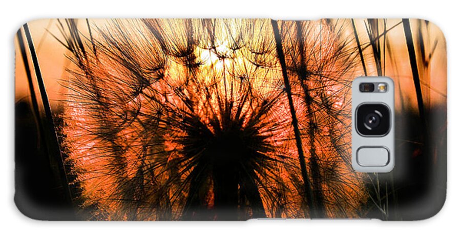 Nature Galaxy Case featuring the photograph Going to Seed #1 by Steven Reed
