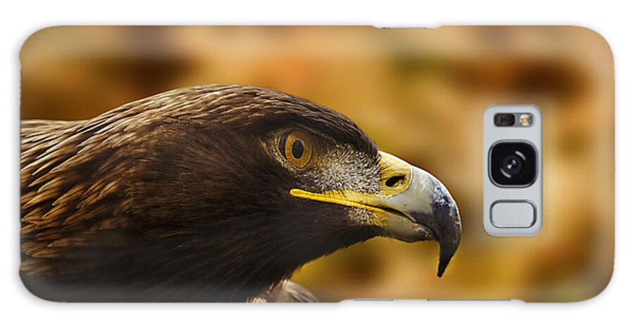 Animal Galaxy Case featuring the photograph Golden Eagle #1 by Brian Cross