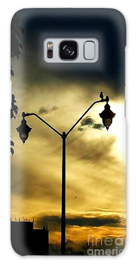 Sunset Galaxy Case featuring the photograph Golden #2 by Judy Via-Wolff