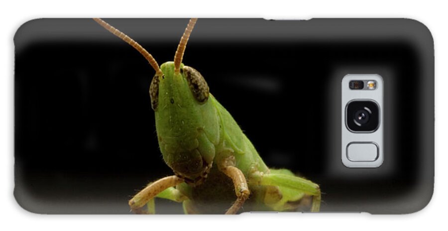 Color Image Galaxy Case featuring the photograph Grasshopper #1 by Aaron Ansarov