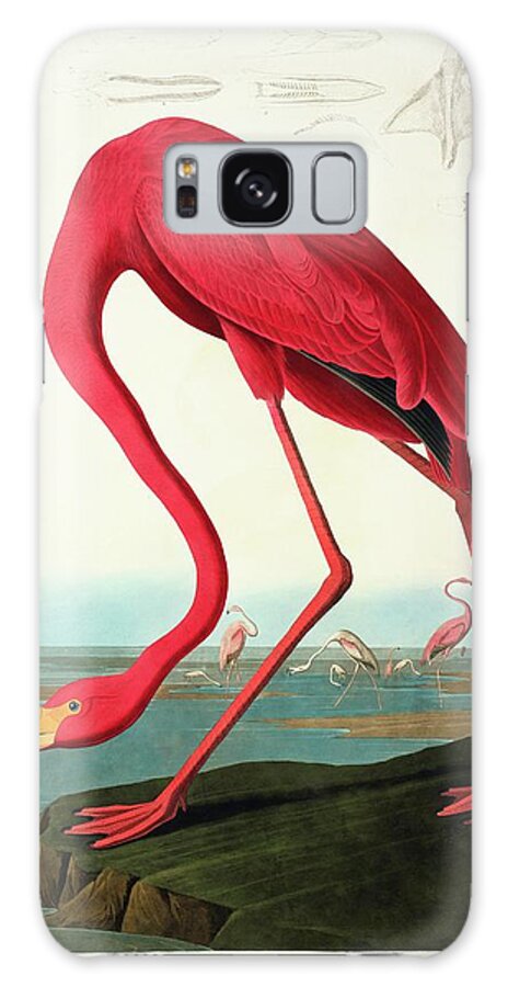 Illustration Galaxy Case featuring the photograph Greater Flamingo #1 by Natural History Museum, London/science Photo Library