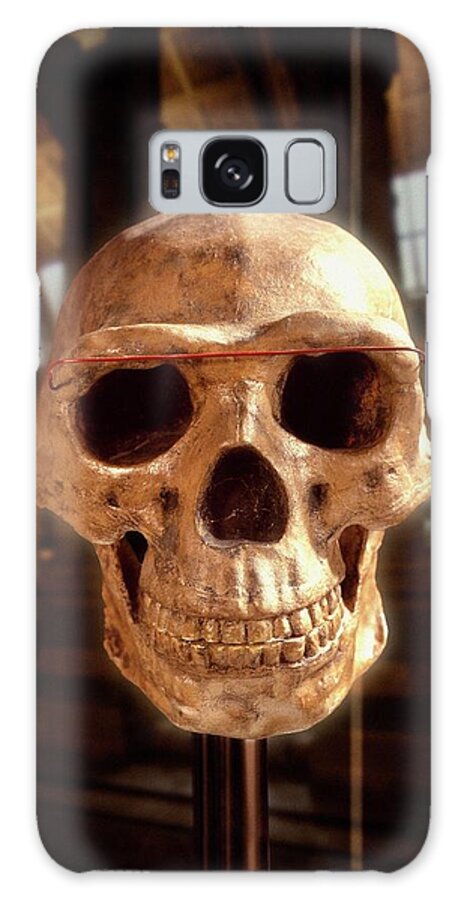 Anthropological Galaxy Case featuring the photograph Homo Erectus Skull #1 by Natural History Museum, London/science Photo Library