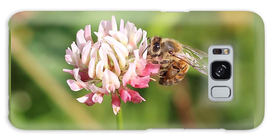 Honeybee Galaxy Case featuring the photograph Honeybee on Clover #3 by Lucinda VanVleck