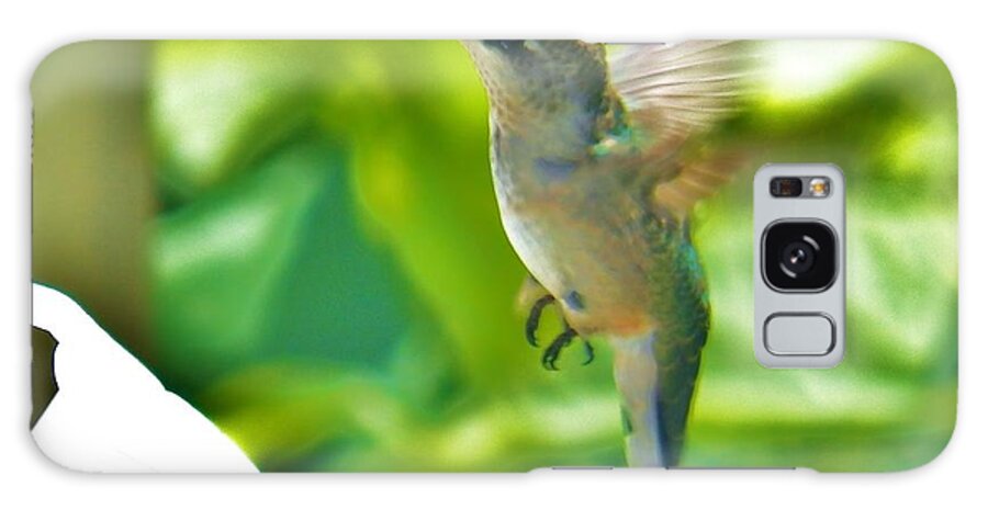 Hummingbird Galaxy Case featuring the photograph Hummingbird 2 2014 by Judy Via-Wolff