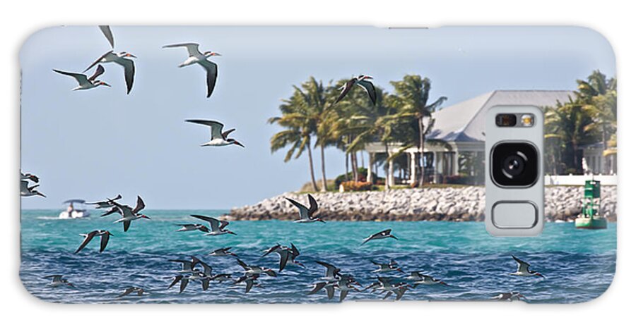 Key West Galaxy Case featuring the photograph Key West #41 by Steven Lapkin