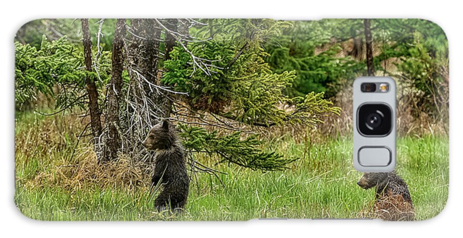 Grizzly Cubs Galaxy Case featuring the photograph Let's Play Follow The Leader by Yeates Photography