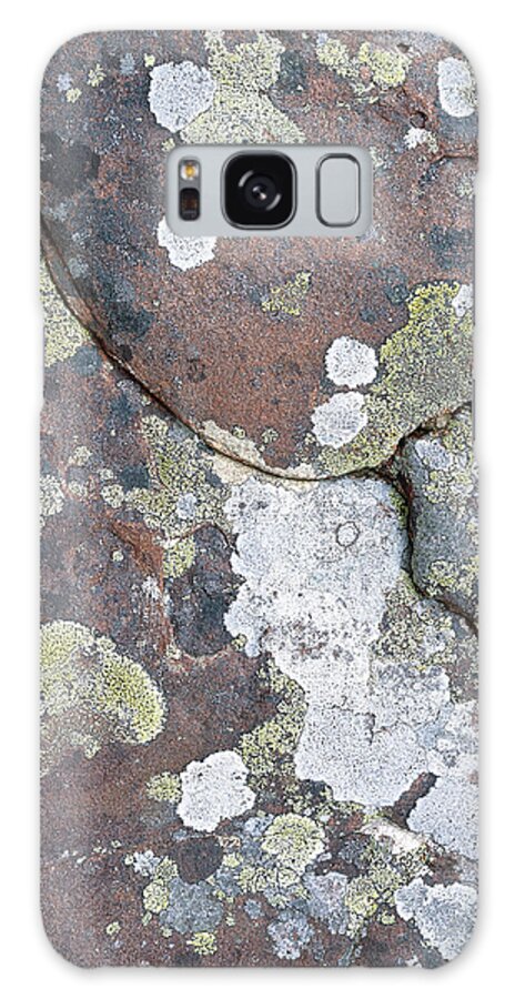 Rock Galaxy Case featuring the photograph Lichen #1 by Simon Fraser/science Photo Library