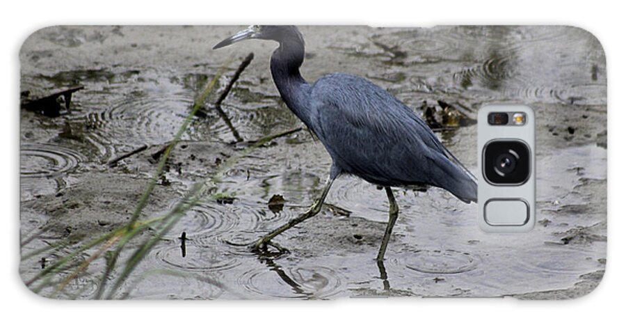 Little Blue Heron Galaxy Case featuring the photograph Little Blue Heron #1 by Jeanne Juhos