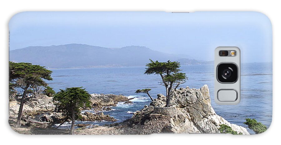 Lone Cypress Galaxy Case featuring the photograph Lone Cypress #1 by Bev Conover