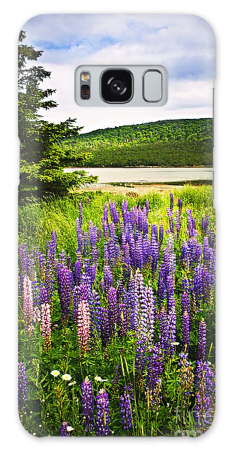 Flowers Galaxy Case featuring the photograph Lupin flowers in Newfoundland 2 by Elena Elisseeva