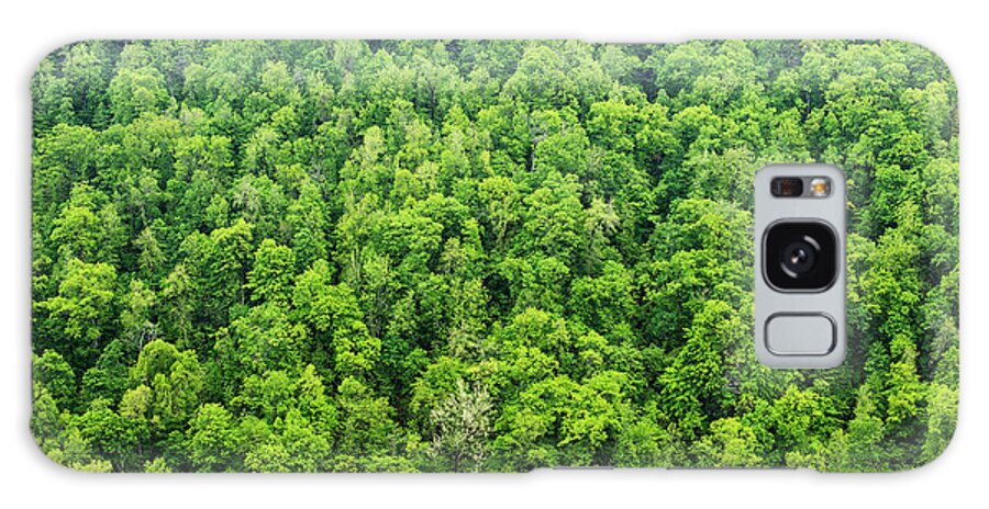 Oak Woodland Galaxy Case featuring the photograph Oak Tree Forest In The Buffalo National #1 by Wesley Hitt