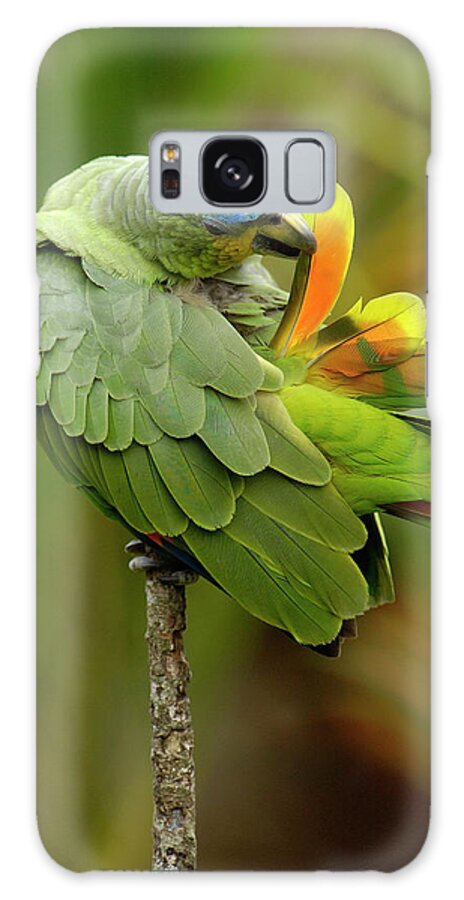 00217468 Galaxy Case featuring the photograph Orange-winged Parrot Amazona Amazonica #2 by Pete Oxford