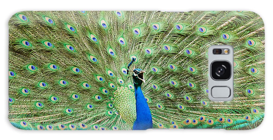 Blue Peafowl Galaxy Case featuring the photograph Peacock #1 by SAURAVphoto Online Store