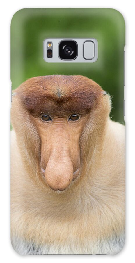 Suzi Eszterhas Galaxy Case featuring the photograph Proboscis Monkey Dominant Male Sabah #1 by Suzi Eszterhas
