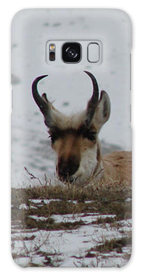 Pronghorn Galaxy Case featuring the photograph Pronghorn Landscape by Carl Moore