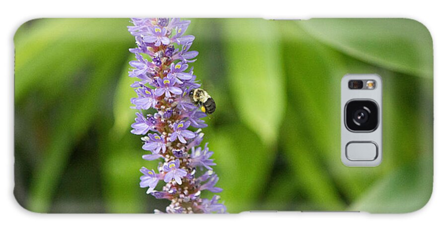 Purple Flower And Bee Galaxy Case featuring the photograph Purple flower and bee #1 by Susan Jensen