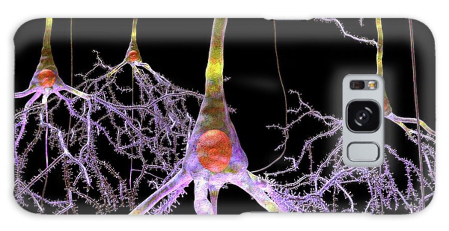 Pyramidal Cell Galaxy Case featuring the photograph Pyramidal Nerve Cells #1 by Russell Kightley