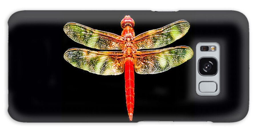 Red Dragonfly Galaxy Case featuring the photograph Red Dragonfly Small by Tony Grider