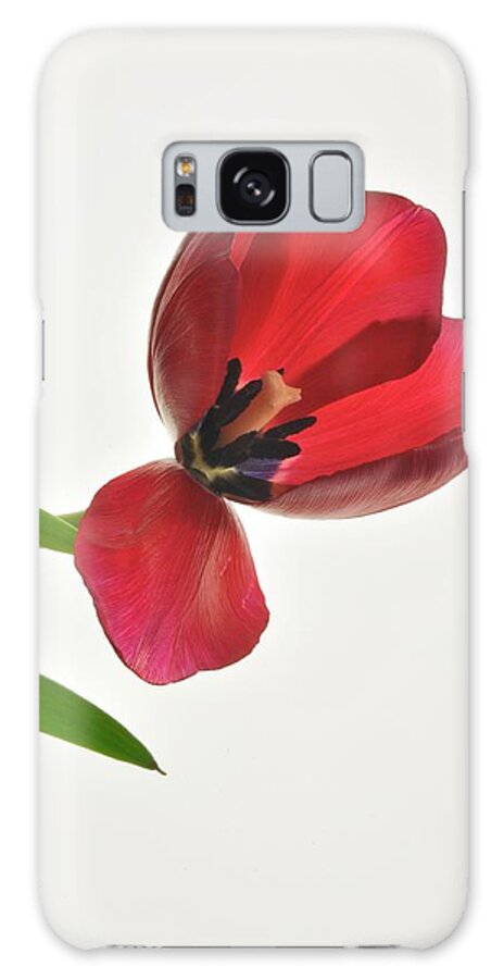 Flower Galaxy S8 Case featuring the photograph Red Transparent Tulip #1 by Phyllis Meinke