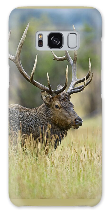 Bull Galaxy Case featuring the photograph Rocky Mountain Bull Elk #2 by Gary Langley