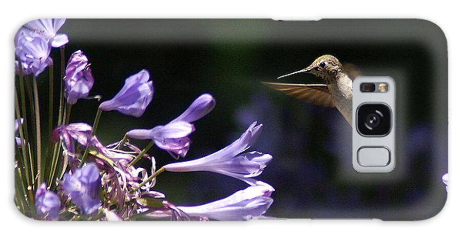 Hummingbird Galaxy Case featuring the photograph So Many Choices #1 by David Armentrout