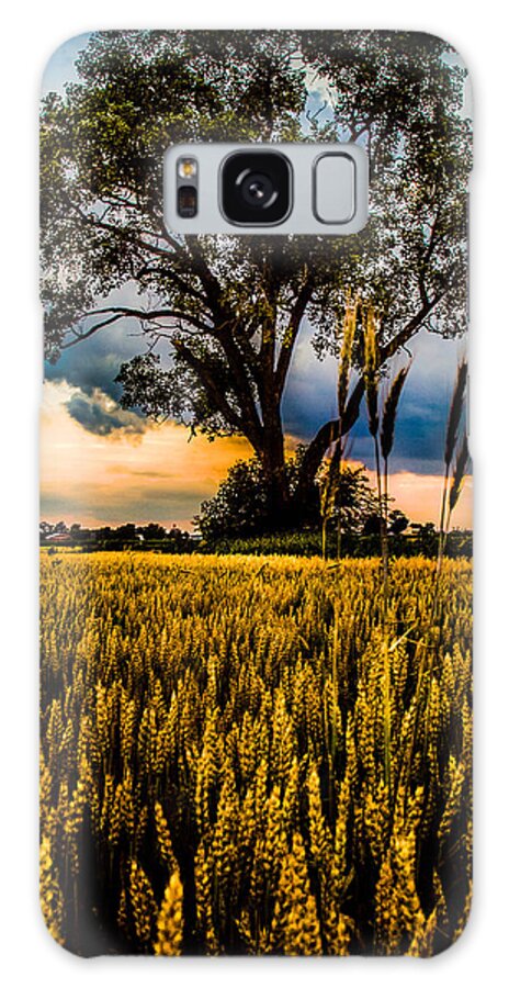 Archbold Galaxy Case featuring the photograph Summer Evening After A Rain #1 by Michael Arend