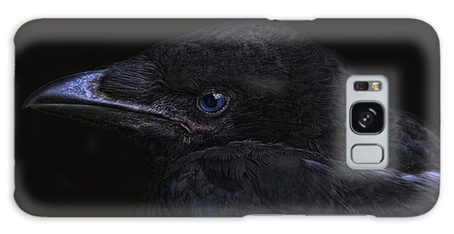 Animal Galaxy Case featuring the photograph The Crow #1 by Joachim G Pinkawa