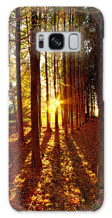 Path Galaxy Case featuring the photograph Through the Pines #1 by Phil Koch