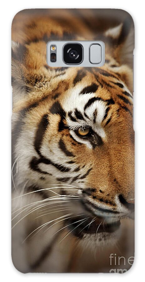 Tiger Galaxy Case featuring the photograph Tiger #1 by HD Connelly
