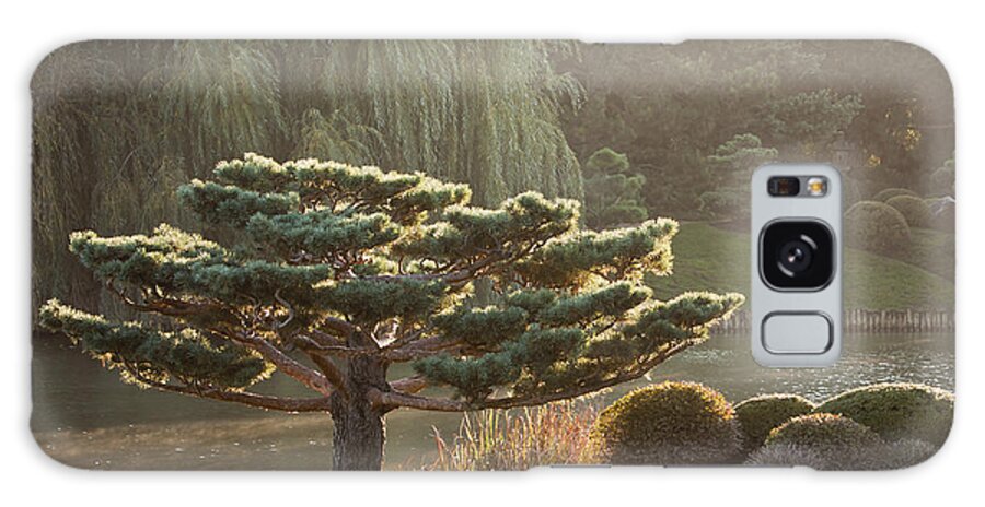 Bonsai Galaxy Case featuring the photograph Tranquility by Patty Colabuono